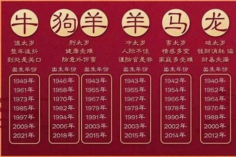 2028 生肖|2028年是什么年？2028年属什么生肖